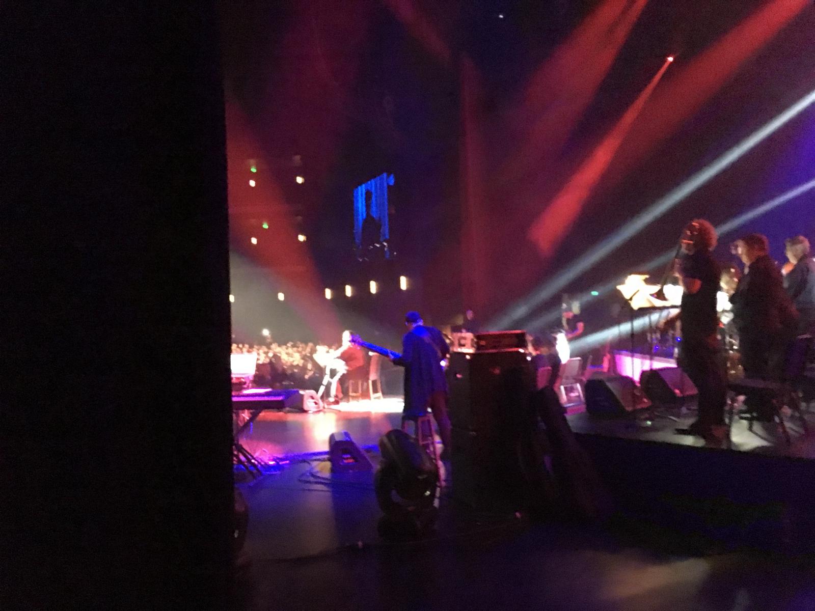 Image hover effect image